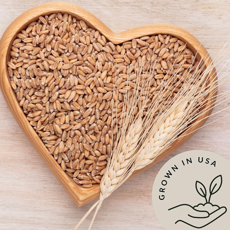Be Still Farms Organic Einkorn Grains (4.8 lb) - Whole Ancient Grains for Soup, Flour, and Bread - Image 4